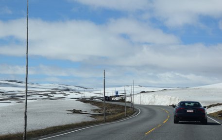 På vei over Hardangervidda i godt selskap ©Guidso Danneel